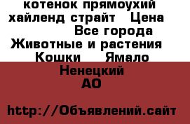 котенок прямоухий  хайленд страйт › Цена ­ 10 000 - Все города Животные и растения » Кошки   . Ямало-Ненецкий АО